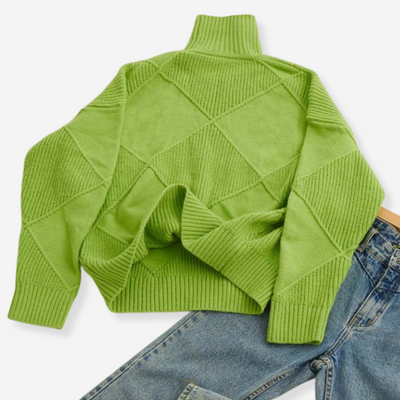 Remmy | Textured Turtleneck Knit Sweater